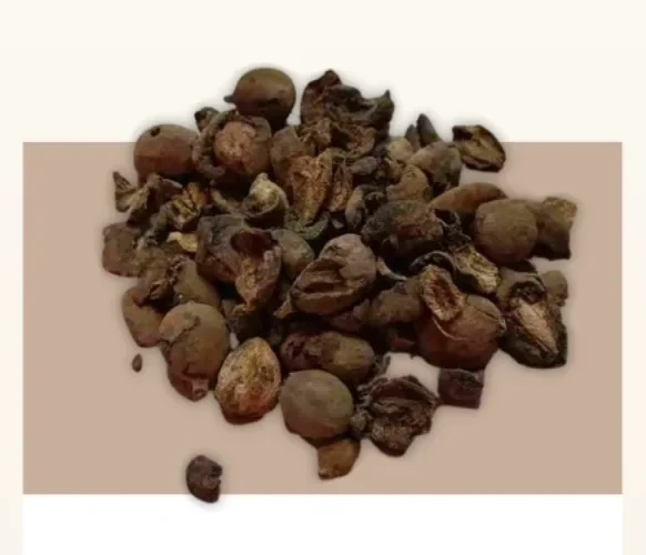 Dried bibhitaki fruits, dark and wrinkled