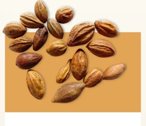 Dried haritaki fruits, ribbed and tawny