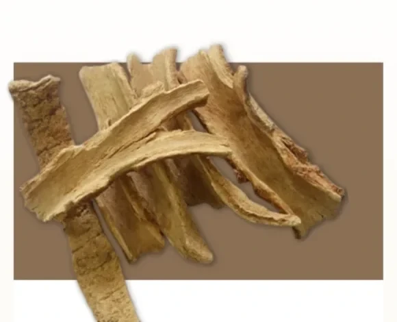 Curled strips of dried lodhra bark
