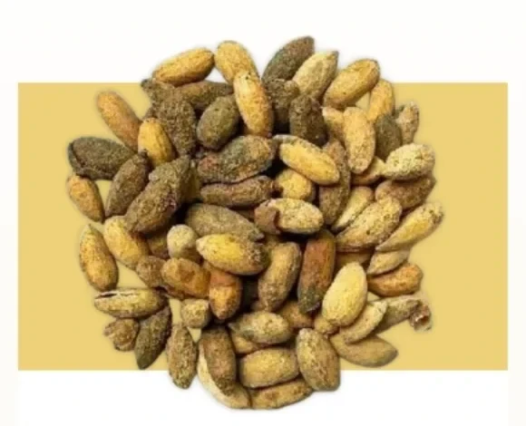 Dried neem seeds, olive and straw coloured