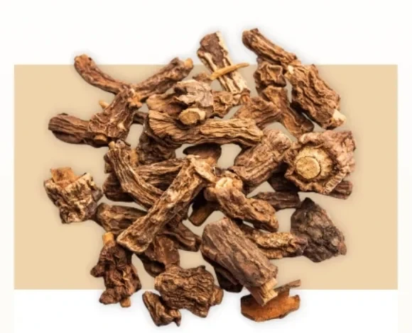 Dried sarsaparilla root pieces, knotted and pale brown