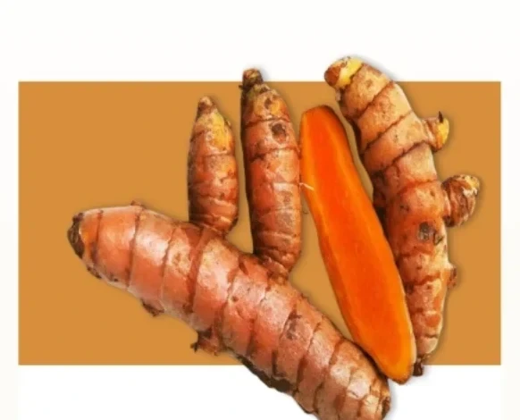 Fresh turmeric rhizomes, one cut to show deep orange flesh
